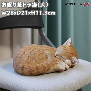 u 蒃gLij lR 11.3cm woobia E[rA 傫 킢  K[f CeA IuWF  v[g k  G  _ ʔ  Mtg O  