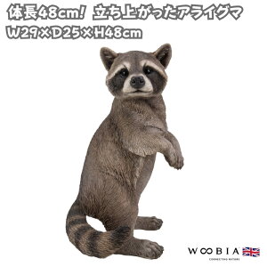 u オACO} 48cm IuWF ^ woobia E[rA 傫 킢  K[f CeA  v[g k  G  _ ʔ  Mtg 