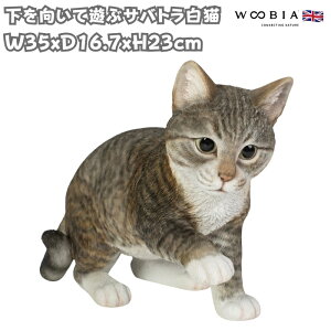 u OȂ߂钃gL lR 23cm woobia E[rA 傫 킢  K[f CeA IuWF   v[g k  G  _ ʔ  Mtg O 