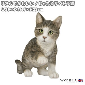 L u Ał킢  傫 TogL lR 23cm woobia E[rA K[f CeA IuWF  v[g k  G  _ ʔ  Mtg 