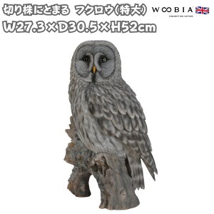 u  킢 IuWF k  ؂芔ɂƂ܂ tNE  52cm woobia E[rA 傫  K[f CeA ^ v[g  G _ ʔ  Mtg 