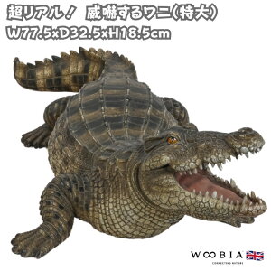 u Њd郏j 18.5cm woobia E[rA 傫 킢  K[f CeA IuWF   v[g k  G  _ ʔ  Mtg O  A 