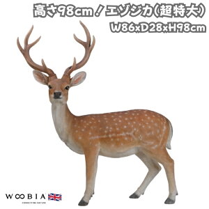 ̒u G]WJ   98cm woobia E[rA 傫 킢  K[f CeA IuWF  v[g k  G _ ʔ  Mtg O  A