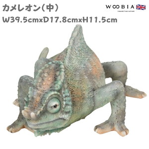 u JI  킢 ঒ IuWF k  11.5cm woobia E[rA 傫  K[f CeA v[g  G _ ʔ  Mtg O  A ֐