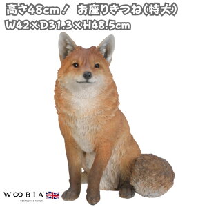 u 肫   48.5cm IuWF ^ woobia E[rA 傫 킢  K[f CeA  v[g k  G  _ ʔ  Mtg O 