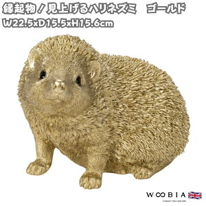 u グnlY~ S[h F N 15.6cm woobia E[rA 傫 킢  K[f CeA IuWF   v[g k  G  _ ʔ