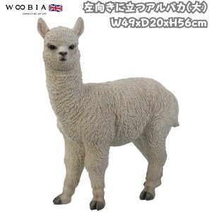 u EɗApJ  56cm woobia E[rA 傫 킢  K[f CeA IuWF   v[g k  G  _ ʔ  Mtg O 
