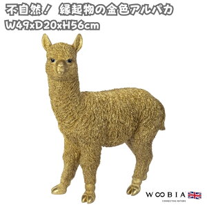 u ApJ S[h F N 56cm woobia E[rA 傫 킢  K[f CeA IuWF   v[g k  G  _ ʔ  Mtg 