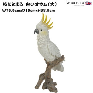 u  킢 IuWF k  }ɂƂ܂ IE  38.5cm ^ woobia E[rA 傫  K[f CeA  v[g  G _ ʔ  Mtg 