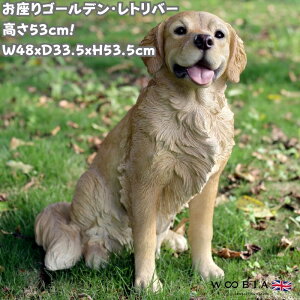 u S[fEgo[  Ck  53.5cm woobia E[rA 傫 킢  K[f CeA IuWF   v[g k  G  _ ʔ