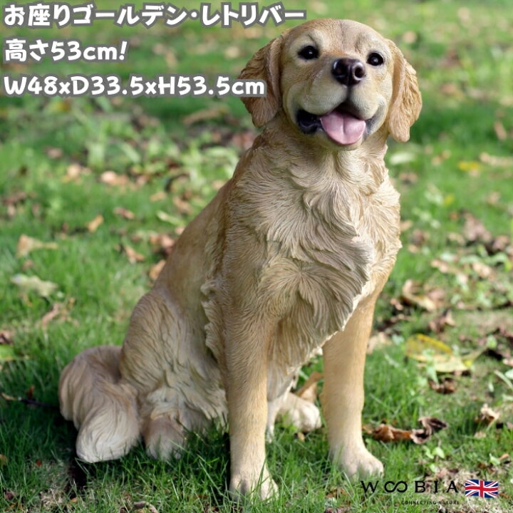 楽天市場】犬 置物 大きい お座りゴールデンレトリバー 特大 高さ53.5 
