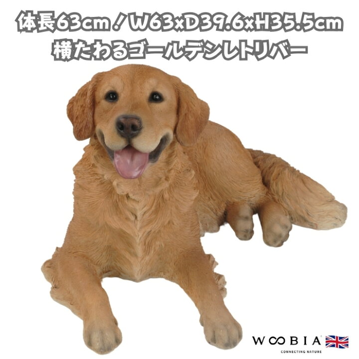 楽天市場】犬 置物 大きい 横たわるゴールデン レトリバー 特大 横幅 