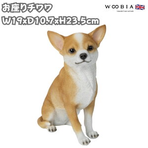 ̒u ` 23.5cm woobia E[rA 傫 킢  K[f CeA IuWF  v[g k  G  _ ʔ  Mtg O  A 