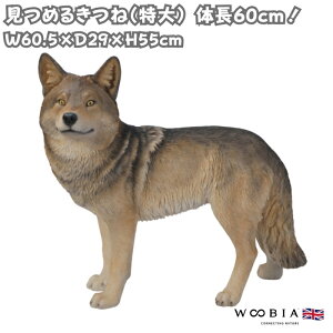 u ߂Lcl   55cm IuWF ^ woobia E[rA 傫 킢  K[f CeA  v[g k  G  _ ʔ  Mtg O