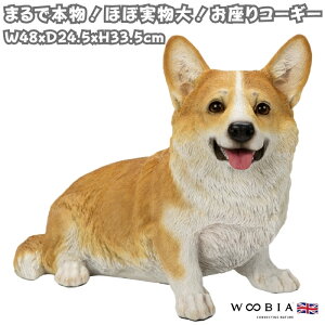 u R[M[   Ck ̒48cm woobia E[rA 傫 ^ 킢  K[f CeA IuWF   v[g k  G  _ ʔ  Mtg 