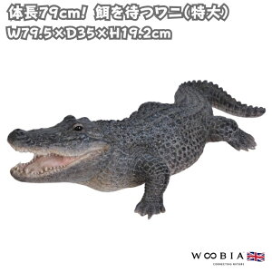 u a҂j  79.5cm k IuWF ^ woobia E[rA 傫 킢  K[f CeA  v[g k  G  _ ʔ  Mtg O 