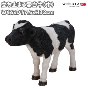 u ~܂鍕  32cm woobia E[rA 傫 킢  K[f CeA IuWF   v[g k  G  _ ʔ  Mtg O  