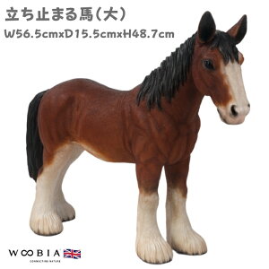 n u ~܂n  48.7cm  woobia E[rA 傫 킢  K[f CeA IuWF   v[g k  G  _ ʔ  Mtg O 