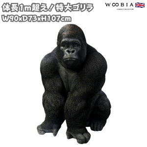 u S IuWF ObY 107cm  woobia E[rA ^ 傫 킢  K[f CeA  v[g k  G  _ ʔ  Mtg O  