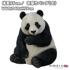 u p_  55cm woobia E[rA 傫 킢  K[f CeA IuWF   v[g k  G  _ ʔ  Mtg O  A 