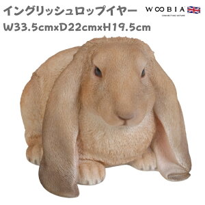 ETM̒u CObVbvC[ 19.5cm e woobia E[rA 傫 킢  K[f CeA IuWF   v[g k  G  _ ʔ 