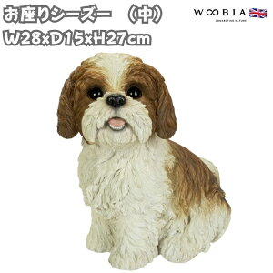 ̒u V[Y[   27cm woobia E[rA 傫 킢  K[f CeA IuWF  v[g k  G  _ ʔ  Mtg O  