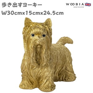 u o[L[ [NV[eA S[h F N 24.5cm woobia E[rA 傫 킢  K[f CeA IuWF  v[g k  G  