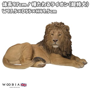 u 郉CI  49.5cm IuWF woobia E[rA 傫 킢  K[f CeA  v[g k  G  _ ʔ  Mtg O  