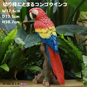 u  킢 IuWF k  ؂芔ɂƂ܂RSECR 38.7cm ^ woobia E[rA 傫  K[f CeA  v[g  G _ ʔ  Mt