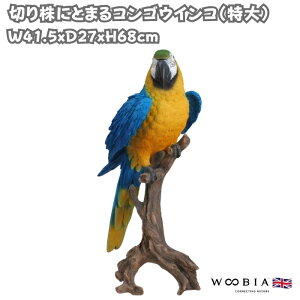 u  킢 IuWF k  ؂芔ɂƂ܂RSECR u[  68cm ^ woobia E[rA 傫  K[f CeA   v[g  G _