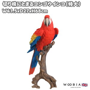 u  킢 IuWF k  ؂芔ɂƂ܂RSECR  68cm ^ woobia E[rA 傫  K[f CeA   v[g  G _ ʔ