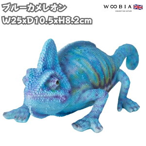u u[JI 킢 IuWF k  8.2cm woobia E[rA 傫  K[f CeA v[g  G _ ʔ  Mtg O  A ֐ K