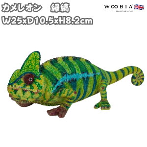 u JI Ύ 킢 IuWF k  8.2cm woobia E[rA 傫  K[f CeA v[g  G _ ʔ  Mtg O  A ֐ K[