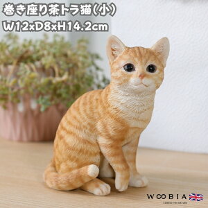 킢 L u 14.2cm 蒃gLij woobia E[rA lR  K[f CeA gC IuWF  v[g k  G  _ ʔ  Mtg 