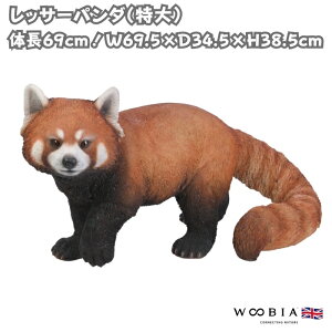 u bT[p_  38.5cm IuWF woobia E[rA 傫 킢  K[f CeA  v[g k  G  _ ʔ  Mtg O  