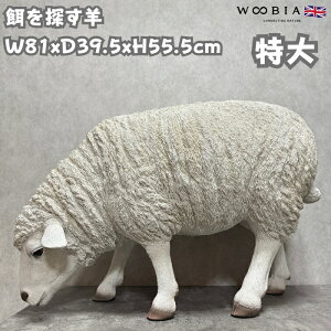 u aTr  55.5cm woobia E[rA 傫 킢  K[f CeA IuWF   v[g k  G  _ ʔ  Mtg O  A