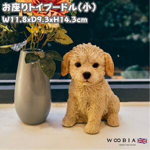 킢  u gCv[h  woobia E[rA Ck  K[f CeA gC IuWF  v[g k  G  _ ʔ  Mtg O  A