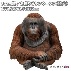 u 储IE[^ 72cm IuWF 쒷 ^ woobia E[rA 傫 킢  K[f CeA  v[g k  G  _ ʔ  