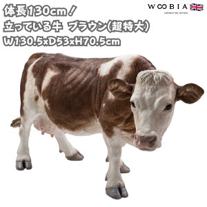 u Ă鋍 uE  70.5cm woobia E[rA 傫 킢  K[f CeA IuWF   v[g k  G  _ ʔ  Mtg 