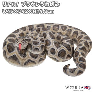 ւ̒u uE΂ 45cm wr IuWF ^ woobia E[rA 傫 킢  K[f CeA  v[g k  G  _ ʔ  Mtg 