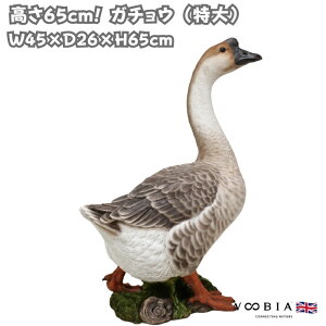 u  킢 IuWF K`E 65cm k  ^ woobia E[rA 傫  K[f CeA   v[g  G _ ʔ  Mtg O  