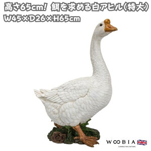 u  킢 IuWF 65cm k  a߂锒Aq ^ woobia E[rA 傫  K[f CeA   v[g  G _ ʔ  Mtg 