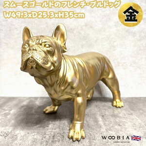 u X[XS[h̃t`EuhbO  Ck 35cm F S[h N  woobia E[rA 傫 킢  K[f CeA IuWF   v[g 