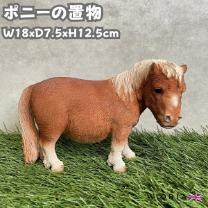 n u 킢|j[ woobia E[rA  K[f CeA gC IuWF  v[g k  G  _ ʔ  Mtg O  A ֐  K[f