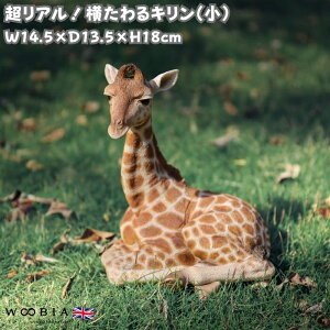 u L  18cm woobia E[rA 킢  K[f CeA IuWF  v[g k  G  _ ʔ  Mtg O  A ֐ K