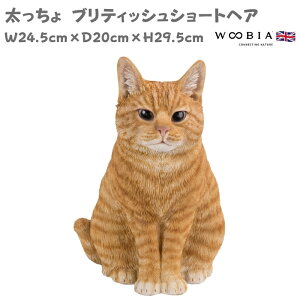 u  ueBbVV[gwA glR L 29.5cm woobia E[rA 傫 킢  K[f CeA IuWF   v[g k  G  