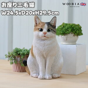 u OєL lR 29.5cm woobia E[rA 傫 킢  K[f CeA IuWF  v[g k  G  _ ʔ  Mtg O  A 