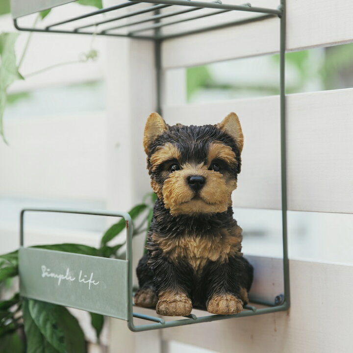 楽天市場】犬 置物 小さい かわいい おしゃれ お座りヨークシャー 