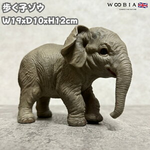 u q]E 12cm  N  woobia E[rA 傫 킢  K[f CeA IuWF  v[g k  G  _ ʔ  Mtg O  