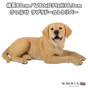 u Ԃ uh[ go[   36.3cm woobia E[rA 傫 킢  K[f CeA IuWF   v[g k  G  _ ʔ